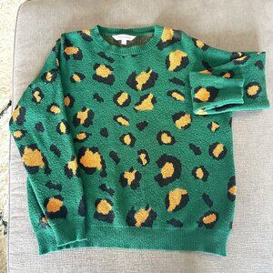 dressed in LaLa green cheetah sweater